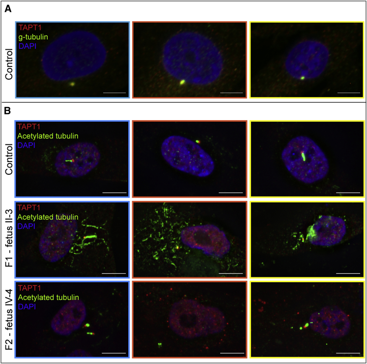 Figure 3