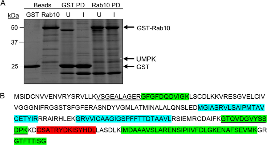 Fig. 9