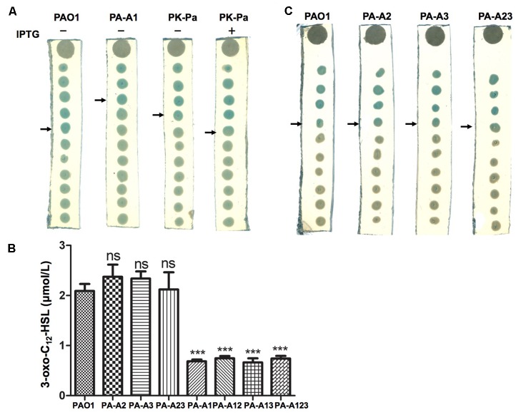 FIGURE 3