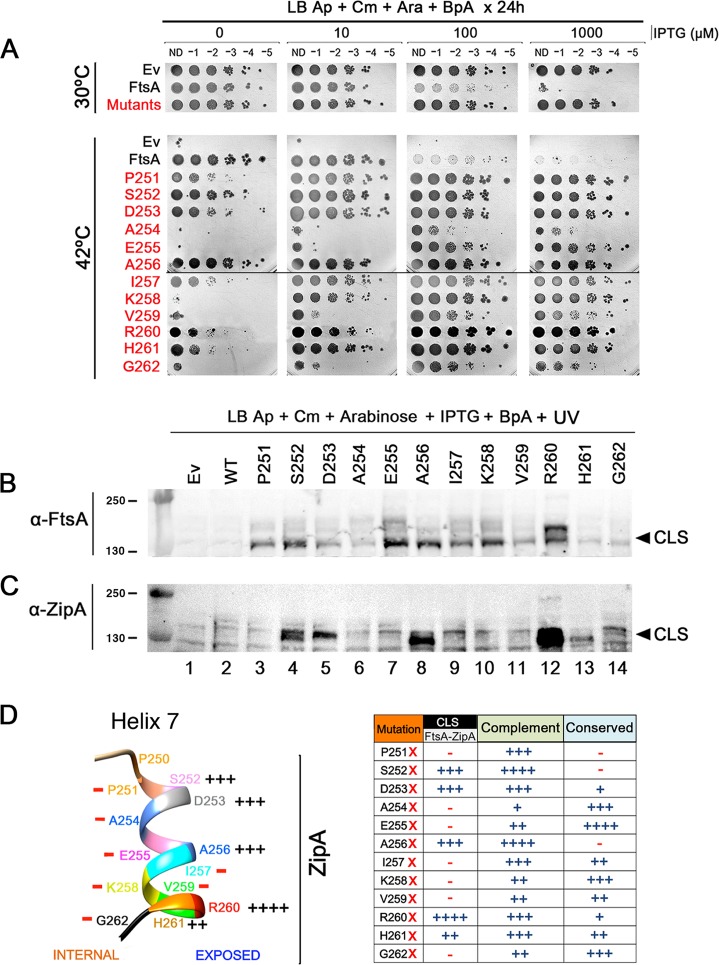 FIG 2