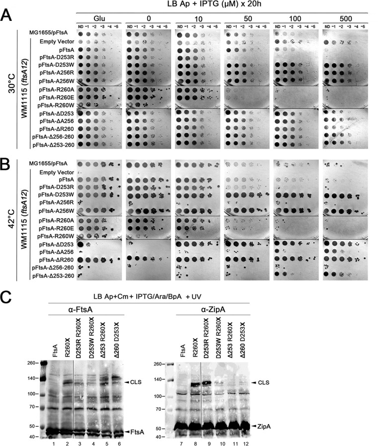 FIG 3