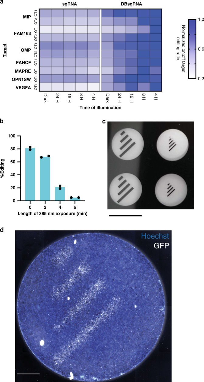 Fig. 3