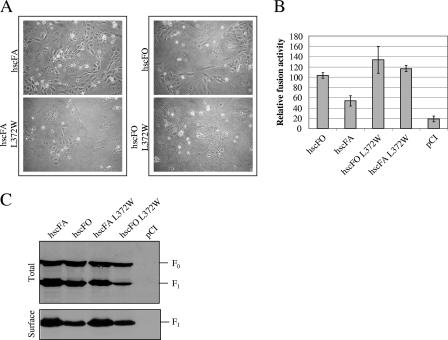 FIG. 6.