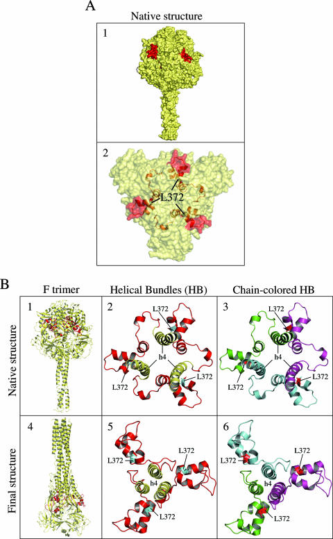 FIG. 8.