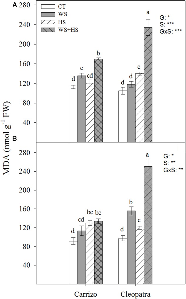 FIGURE 3