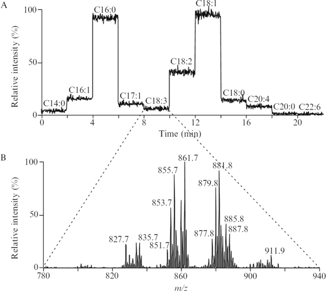 Figure 3: