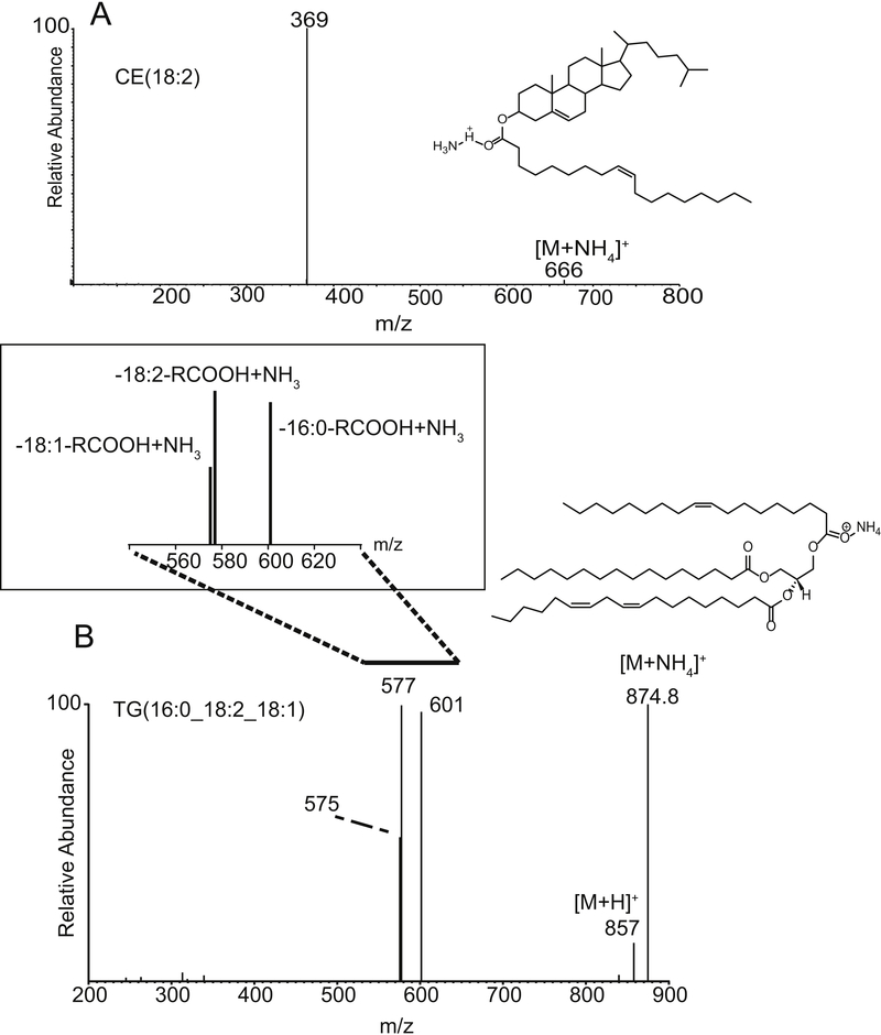 Figure 1: