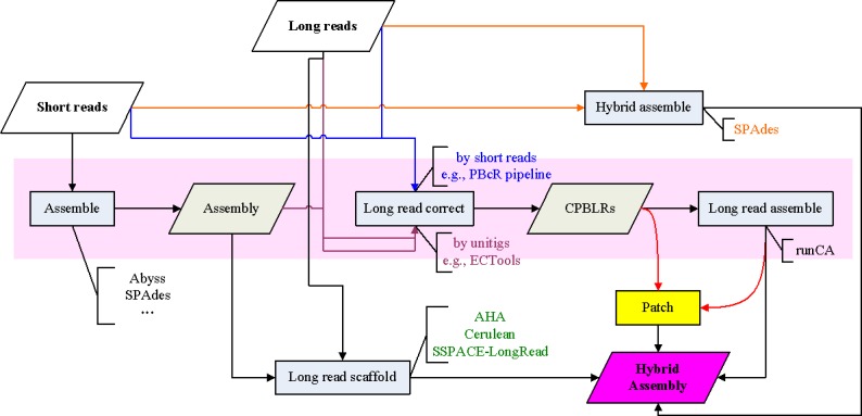 Fig 2