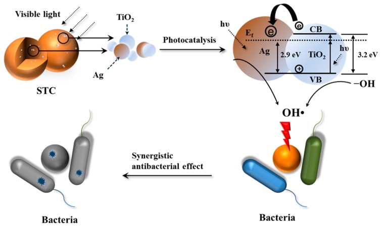 Figure 12