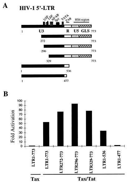 FIG. 3