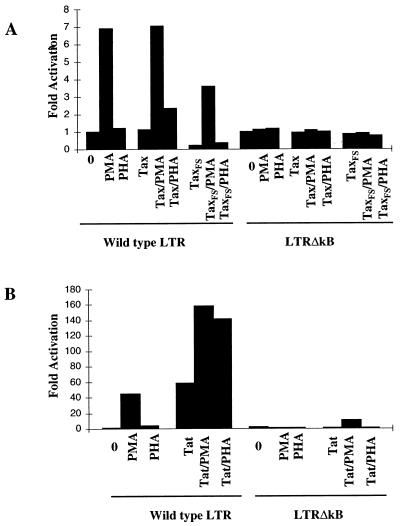 FIG. 6