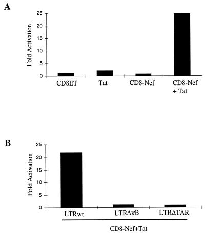 FIG. 7