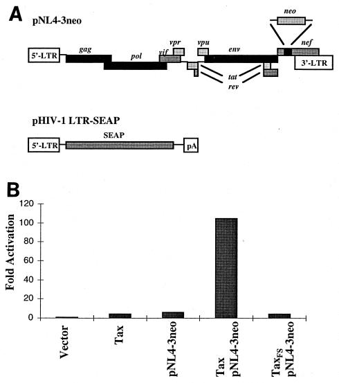 FIG. 1