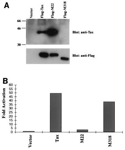 FIG. 5