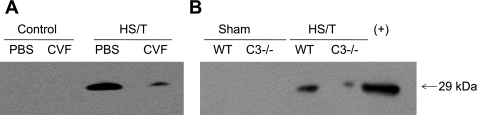 Fig. 9.