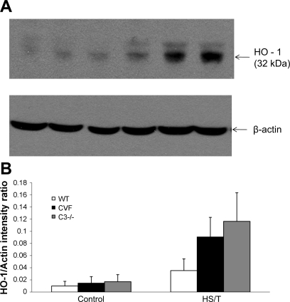 Fig. 10.