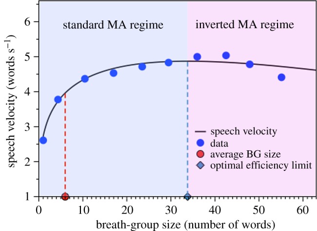 Figure 13.