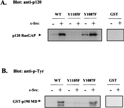 FIG. 6