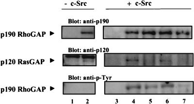 FIG. 7