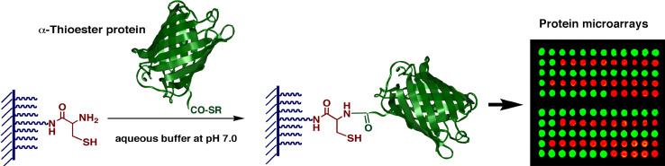 Fig. 3