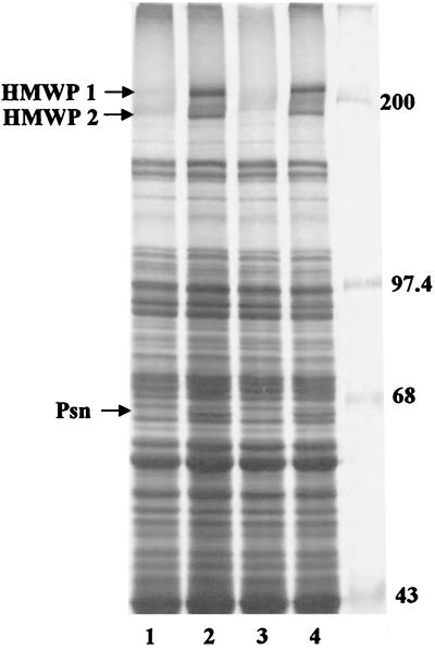 FIG. 6.