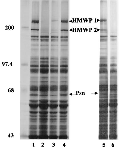 FIG. 4.