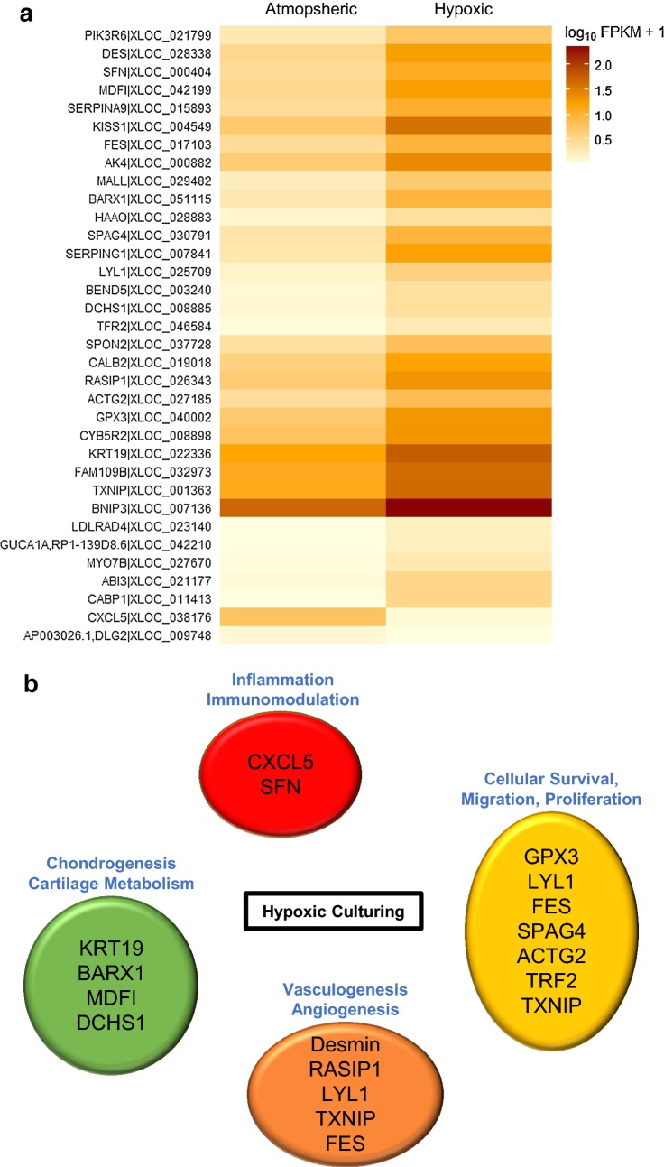 Fig. 4