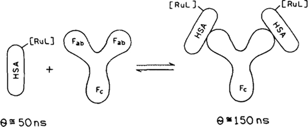 SCHEME 1.