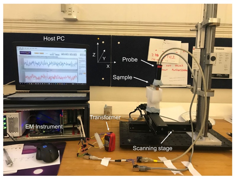 Figure 2