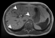 Fig. 7