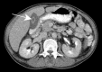Fig. 5