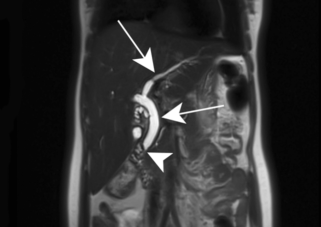 Fig. 6
