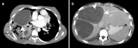 Fig. 9