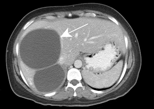 Fig. 8