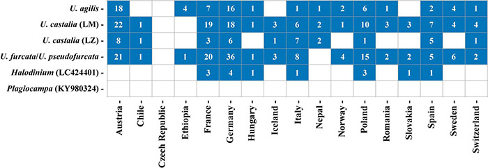 FIGURE 10