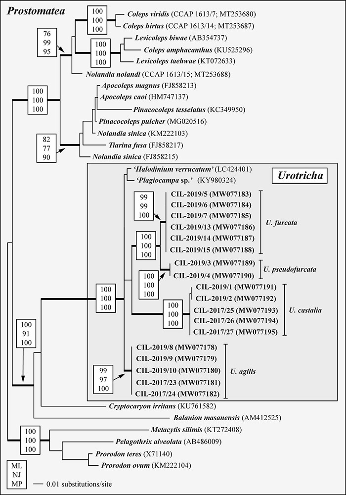 FIGURE 6