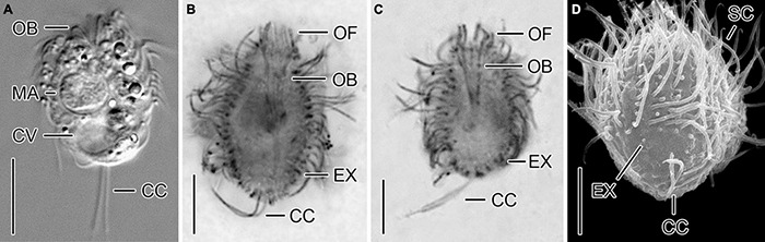 FIGURE 4