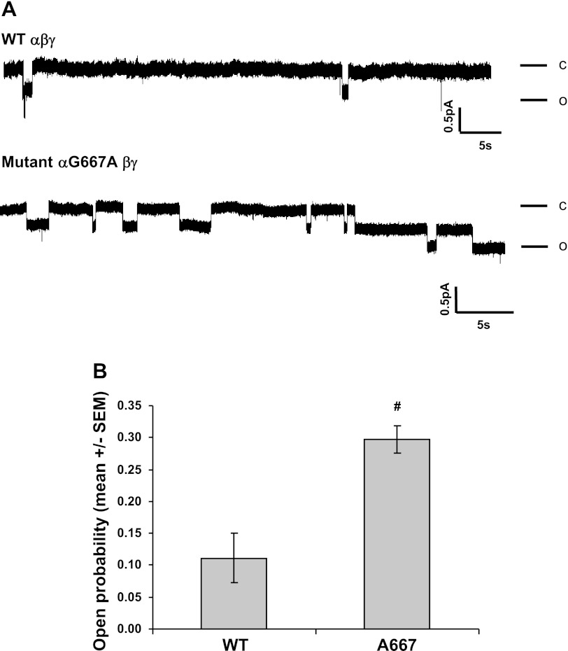 Fig. 3.