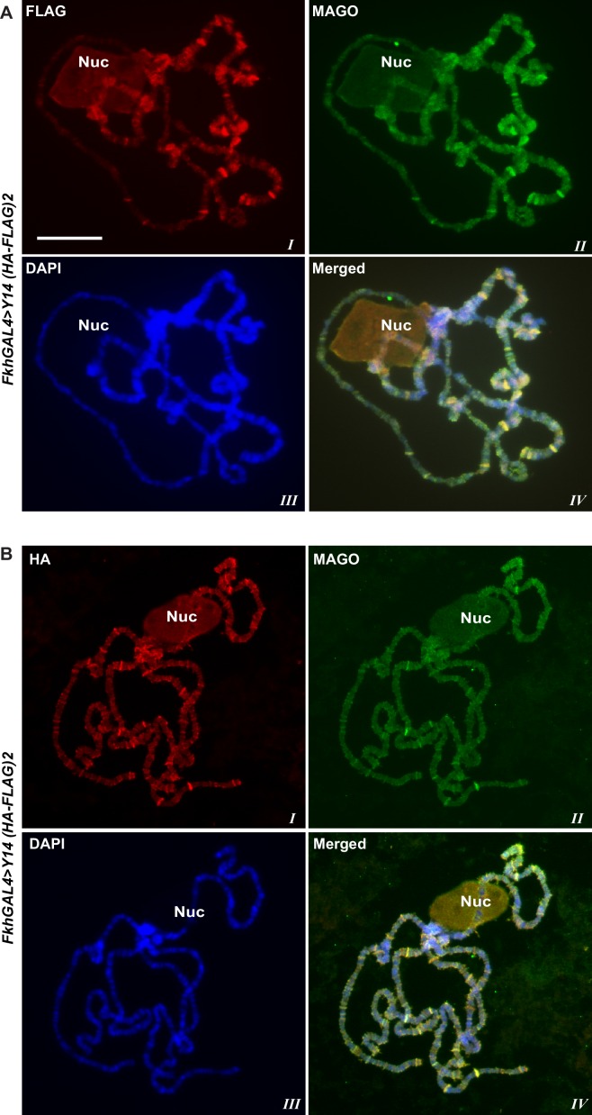 Figure 1—figure supplement 4.