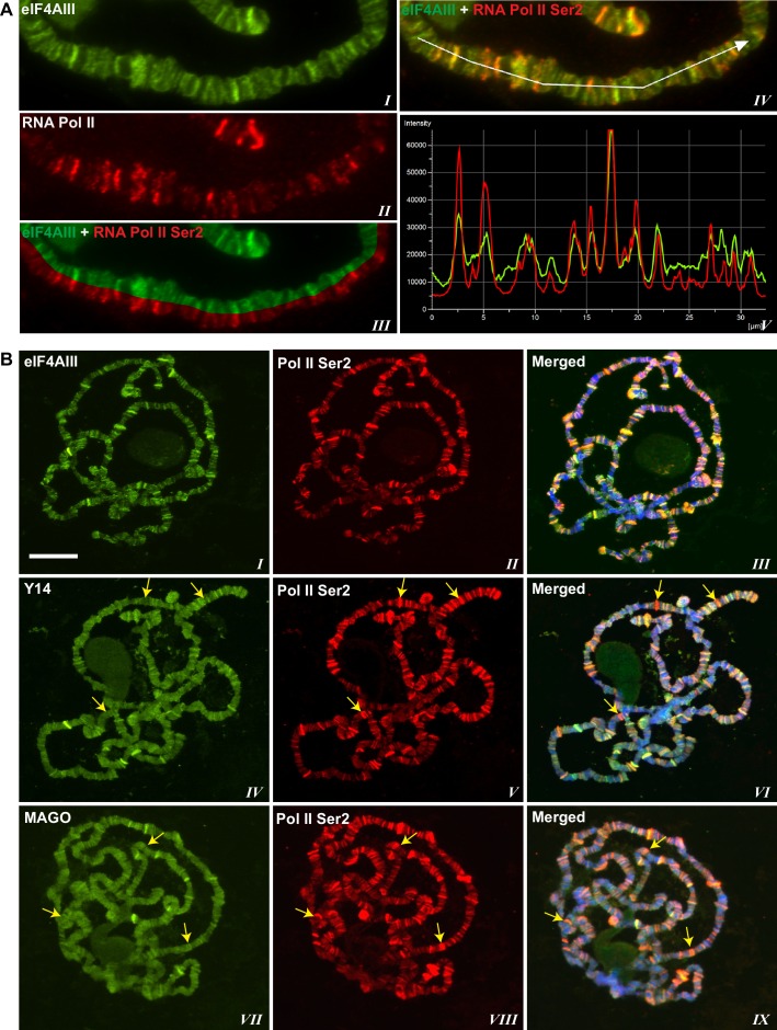 Figure 1—figure supplement 2.