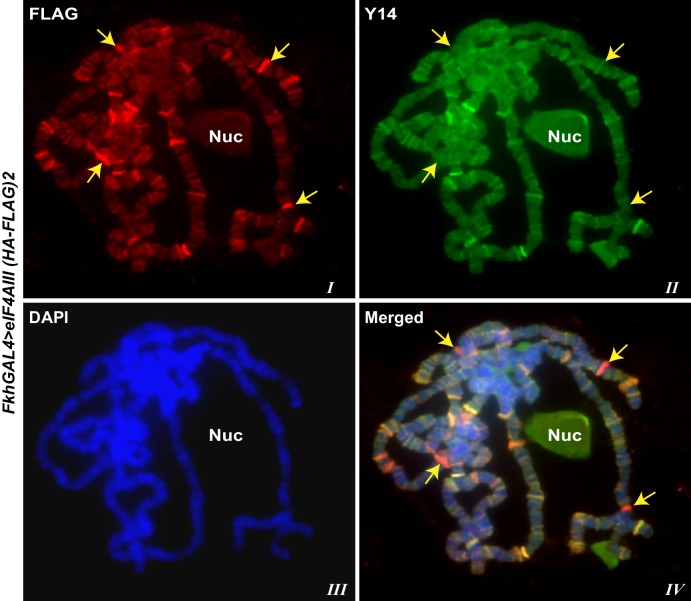 Figure 1—figure supplement 5.