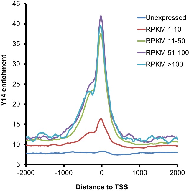 Figure 4—figure supplement 1.