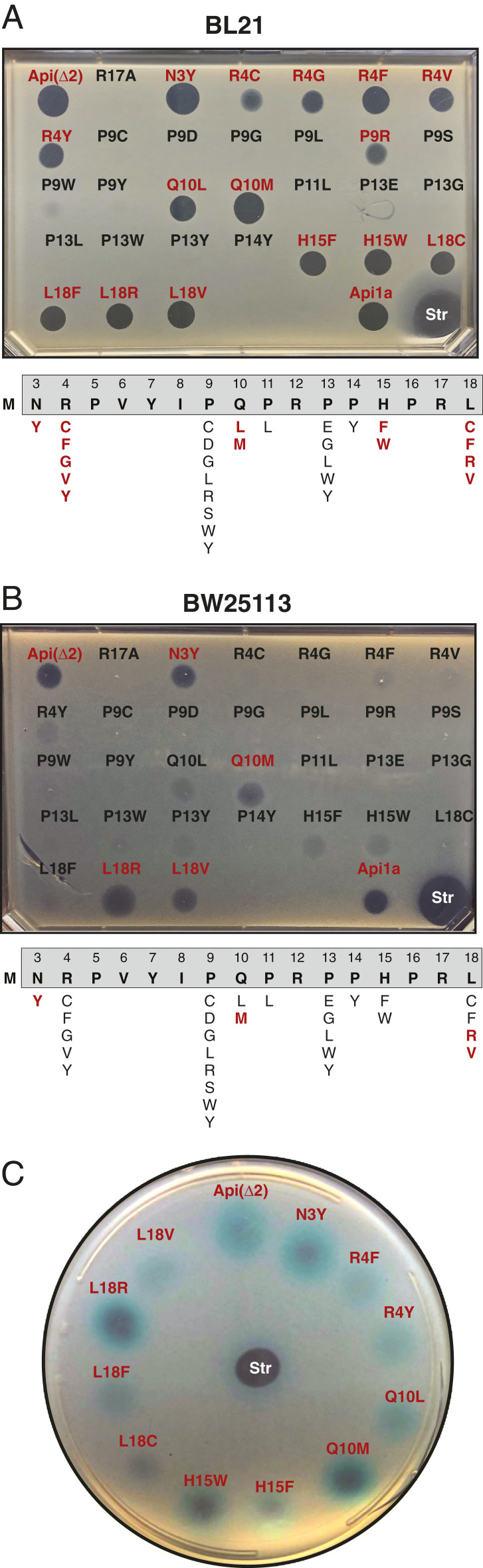 Fig. 6.