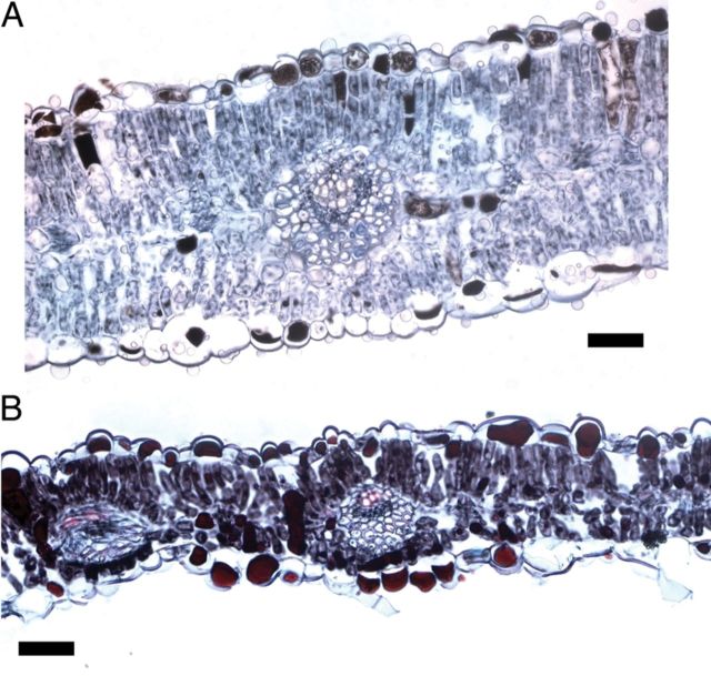 Figure 4.