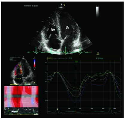 Figure 4. 