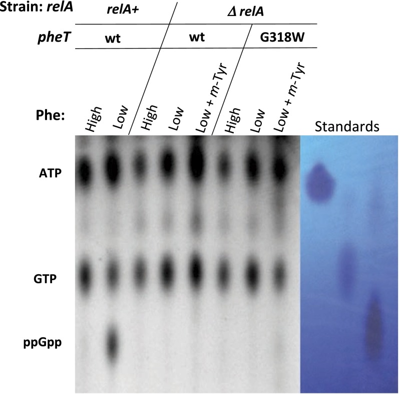 Fig. S3.