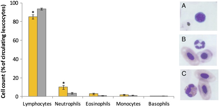 Figure 2: