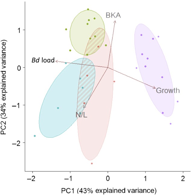 Figure 4: