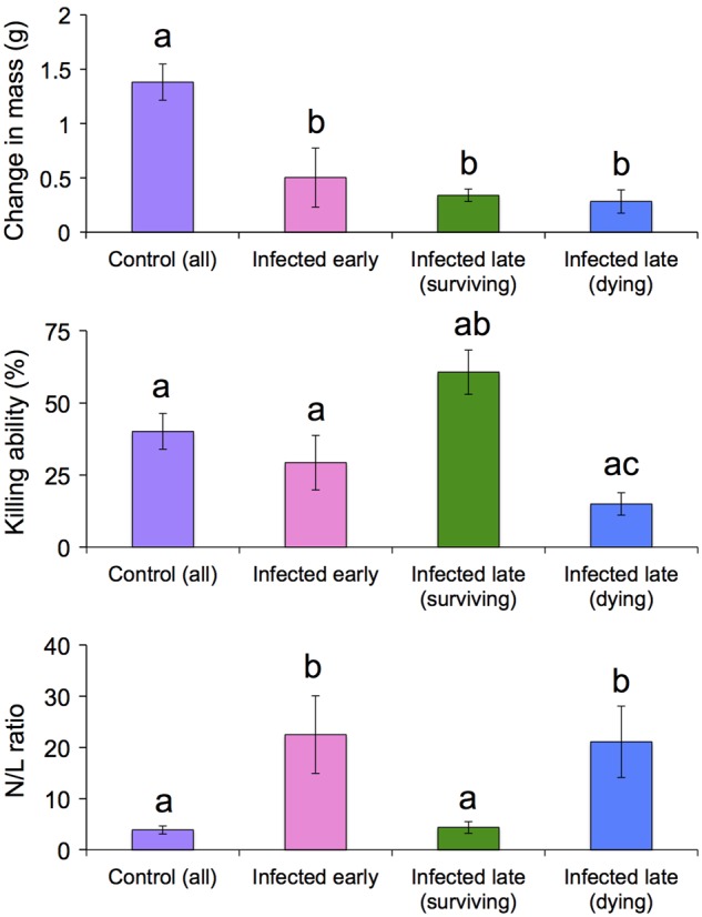 Figure 3: