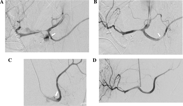 Fig. 4